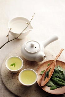 茶葉養(yǎng)生 鄭佩佩、凱麗領銜，媽媽們的健康保養(yǎng)經