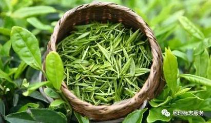 地理標(biāo)志產(chǎn)品走向世界 廣西百色芒果與桂平西山茶獲中歐互認(rèn)，衛(wèi)生潔具產(chǎn)業(yè)迎發(fā)展新契機(jī)