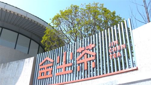 安順經(jīng)開(kāi)區(qū) 打造新中式茶飲新風(fēng)尚，賦能茶葉產(chǎn)業(yè)升級(jí)